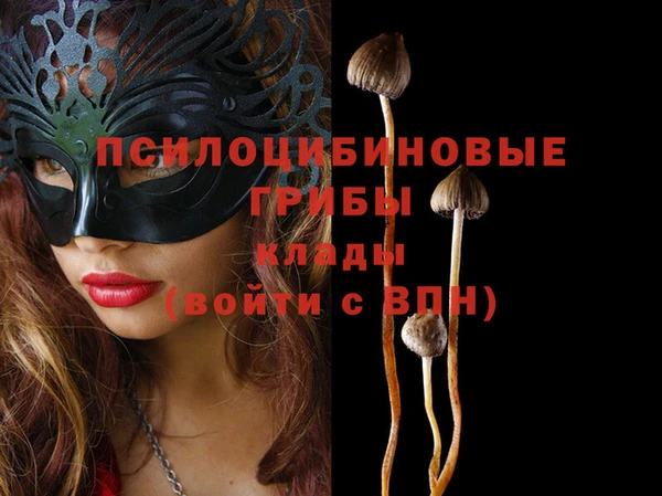 ECSTASY Алзамай