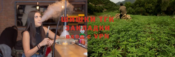 ECSTASY Алзамай