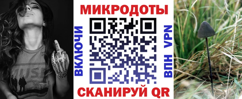 Псилоцибиновые грибы Psilocybine cubensis  Обоянь 